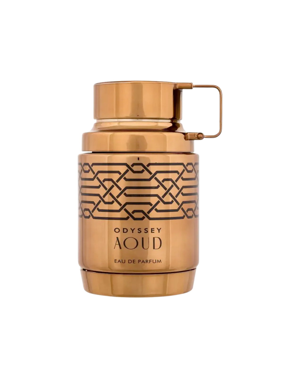 Armaf Odyssey Aoud EDP 100 ml para hombre | Huele Bonito