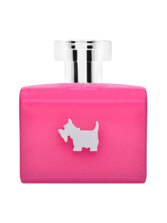 Ferrioni Terrier Pink EDT 100 ml para dama | Huele Bonito