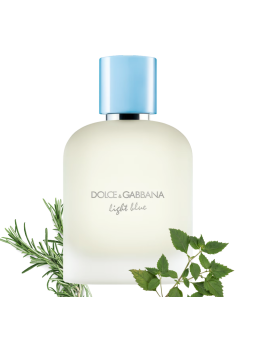 Dolce&Gabbana Light Blue Pour Homme EDT 100 ml para hombre | Huele Bonito
